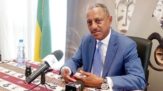 Gabon's Tourism Minister Detained Over $18 Million Fraud Allegations