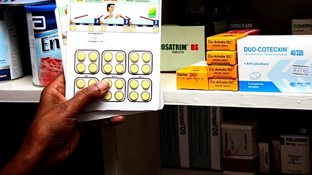 Global Malaria Deaths Rise to 610,000 in 2024, Reversing Progress