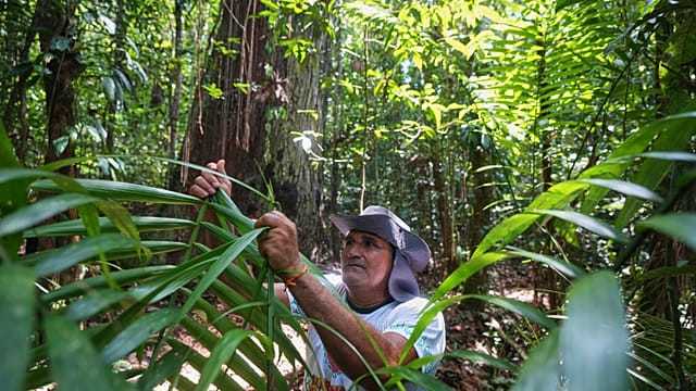 Brazil's Slave Descendants Fight for Land They Call Home