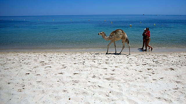Guerre au Moyen-Orient : impact sur le tourisme tunisien