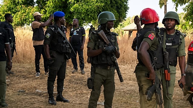 Bandit raid leaves nine farmers dead in northwest Nigeria