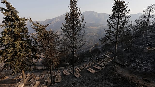 One person reportedly killed as Algeria battles wildfires