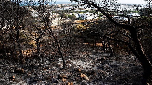 Extreme heatwave grips Tunisia as wide power cuts fuel frustration