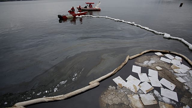 Brésil : des cheveux recyclés pour dépolluer la baie de Guanabara