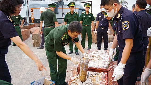 Vietnam police seize nearly 1.2 tonnes of ivory hidden in timber logs
