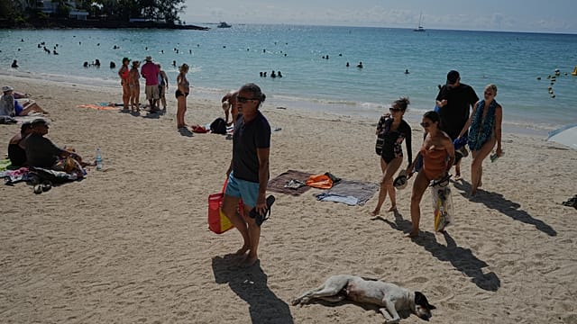 Mauritius imposes curfew after police shooting sparks violent protests