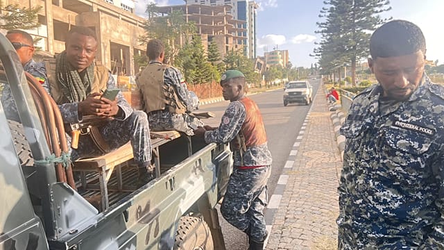 Eritrean forces suffer 'heavy losses' in Tigray, Ethiopian militia says