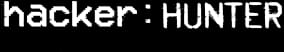 Hacker Hunter