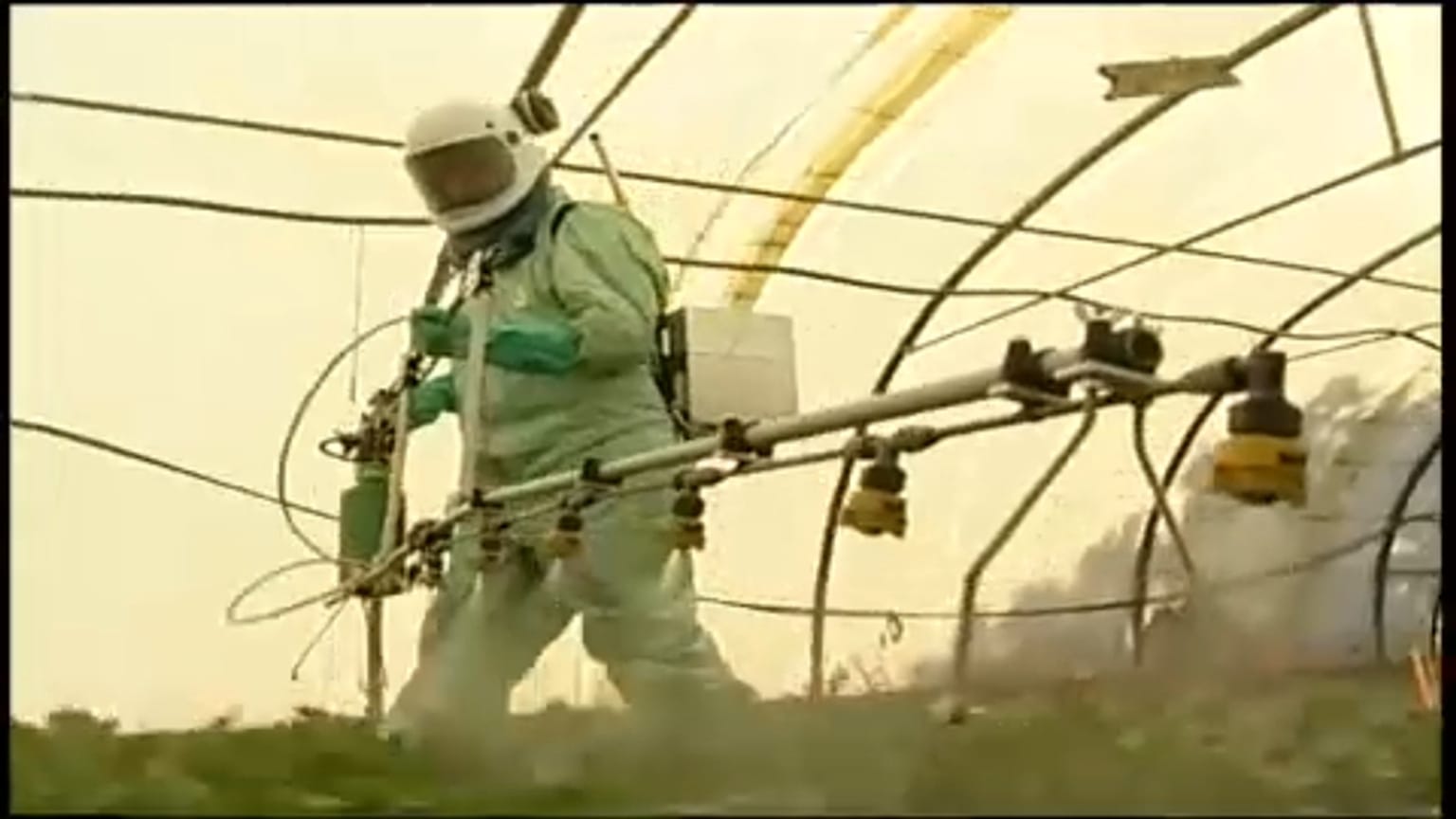 A világ vetőmagjainak negyedét uralhatja a Bayer