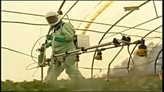 A világ vetőmagjainak negyedét uralhatja a Bayer