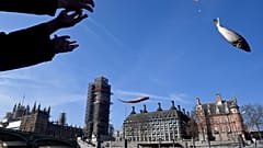 Brexit-Befürworter gegen verlängerte EU-Fangquoten