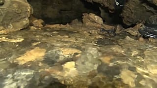 Giornata mondiale dell'acqua: come valorizzarla anche in Italia 