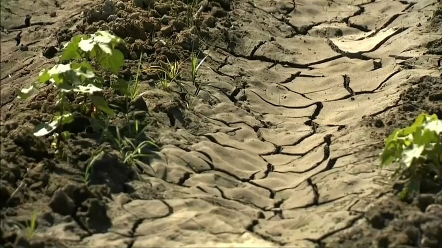 Réchauffement et CO2 : nouveaux rapports alarmants