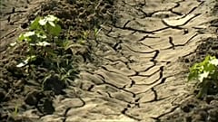 Réchauffement et CO2 : nouveaux rapports alarmants