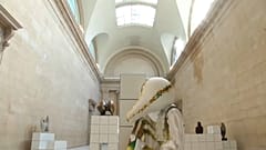 The Squash: Art with a pumpkin-flavour at Tate Britain