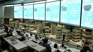 Brexit-Unsicherheit: Teure Blumen für London