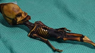 La triste historia detrás del falso alienígena de Atacama
