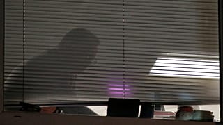 Μ. Βρετανία: Έφοδος στα γραφεία της Cambridge Analytica