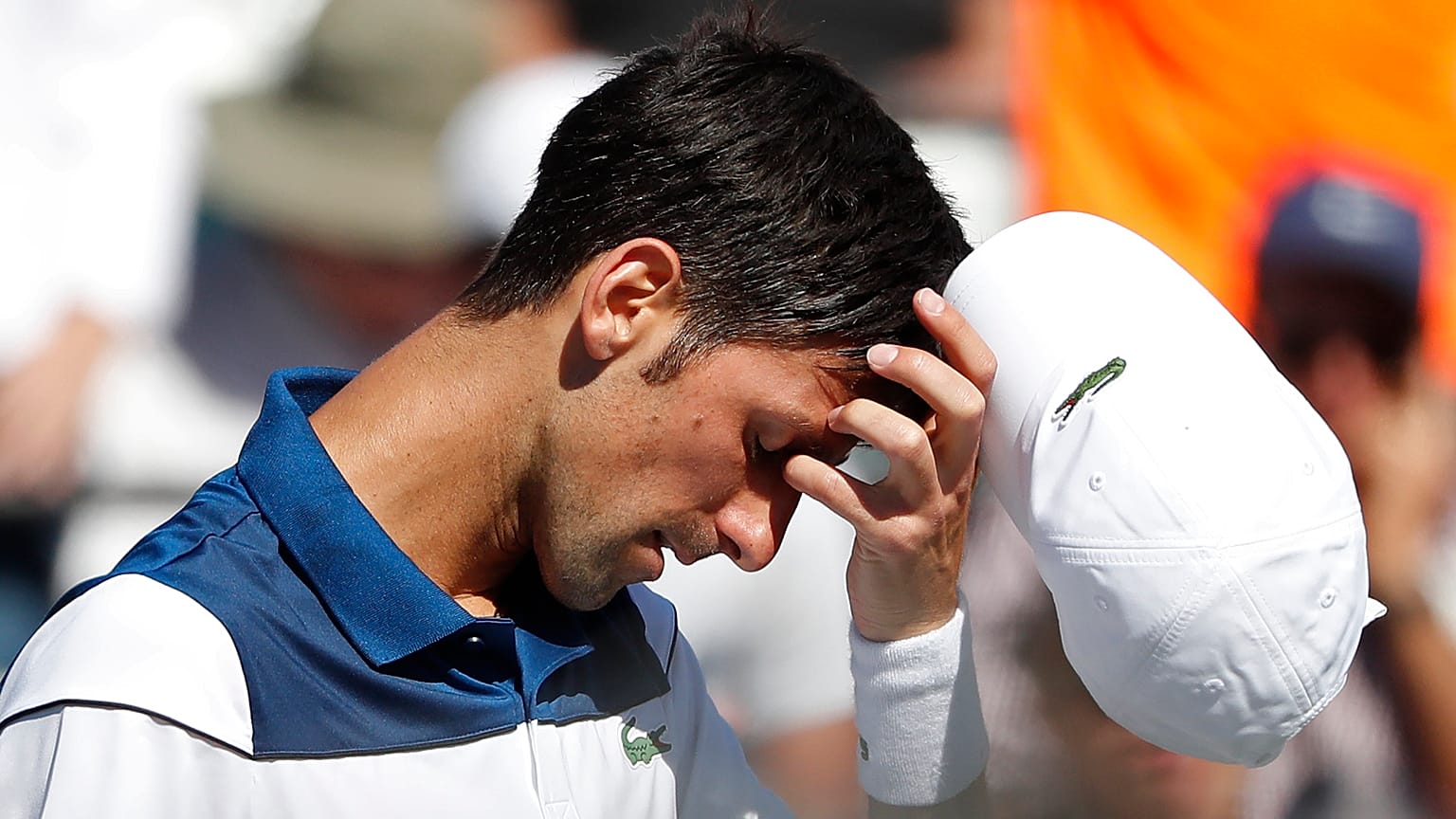 Djoko KO, Del Potro OK