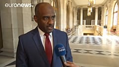 Saudi general in charge of Yemen campaign speaks to euronews
