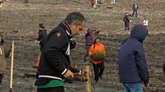 Uno de los bosques más antiguos de Portugal renace de sus cenizas