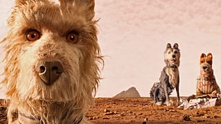 Os Cães, a Ilha e a obsessão pelo detalhe em exposição