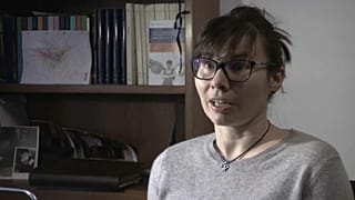 Espulsione diplomatici russi: "L'Italia come una capra..."