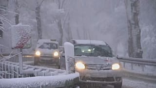 Germany and Poland experience late cold snap