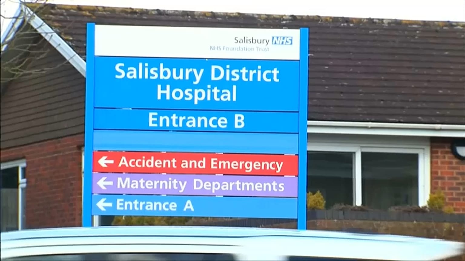 Skripal daughter's health rapidly improving
