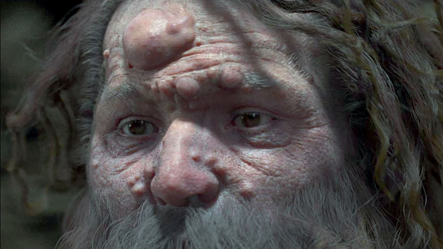 Le vrai visage de l’Homme de Cro-Magnon