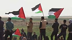 Palästinenser in Gaza getötet