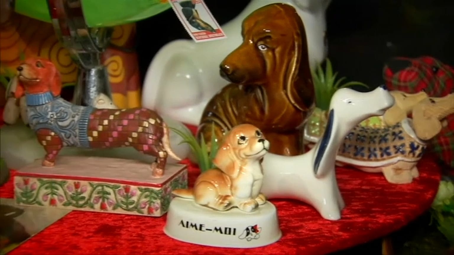 Les teckels ont désormais leur musée