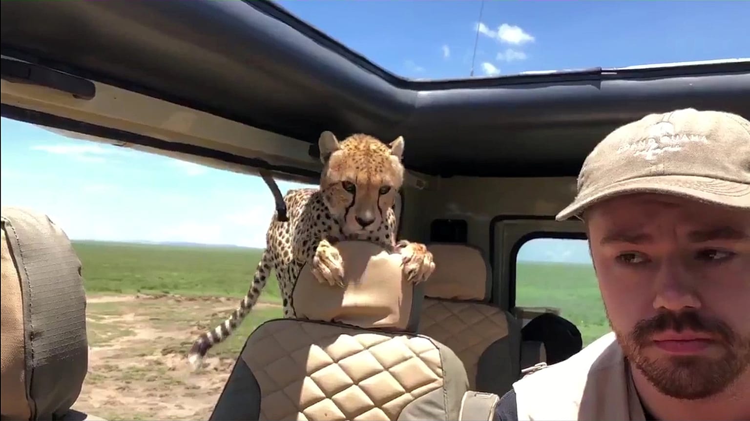 Britton Hayes foi surpreendido pela invasão do carro por uma chita