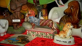 Sausage dogs on display