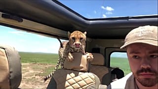 Это вам не селфи с котиком