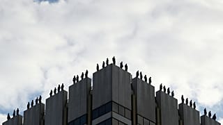 Londra çatılarındaki adamlar ne yapıyor?