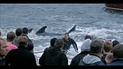 Pollution puts Faroe Islanders in the spotlight in new documentary