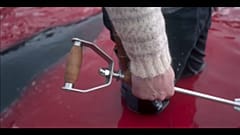 Un mar de sangre y contaminación