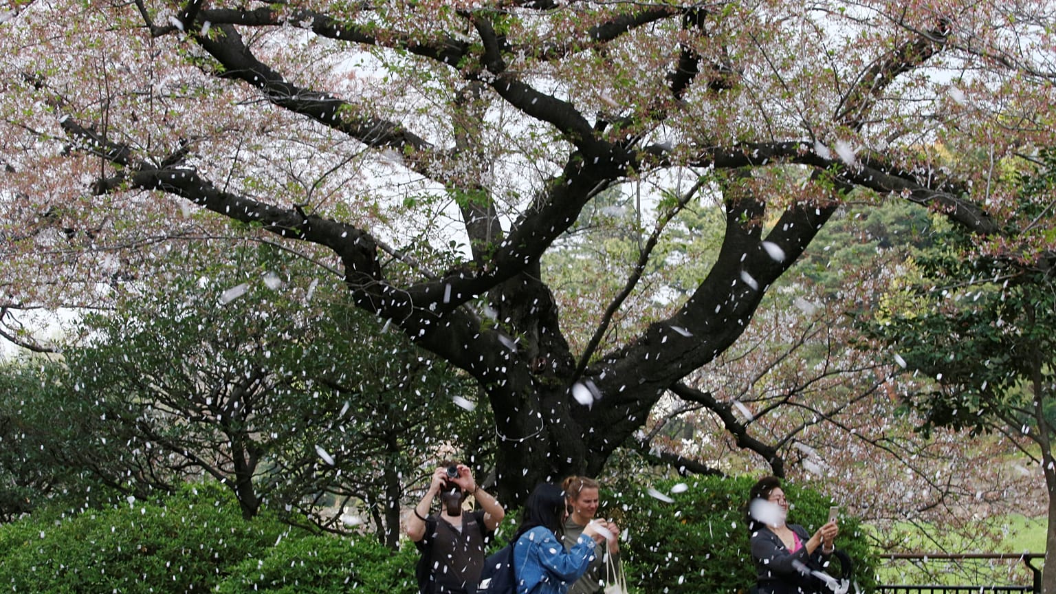 REUTERS/Toru Hanai