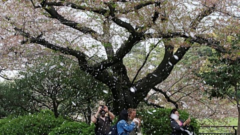 REUTERS/Toru Hanai