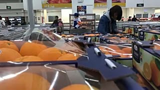 WTO: Veszélyes importvámok