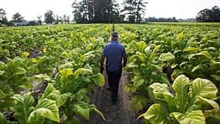 U.S. farm belt will be hit by latest Chinese import tariffs