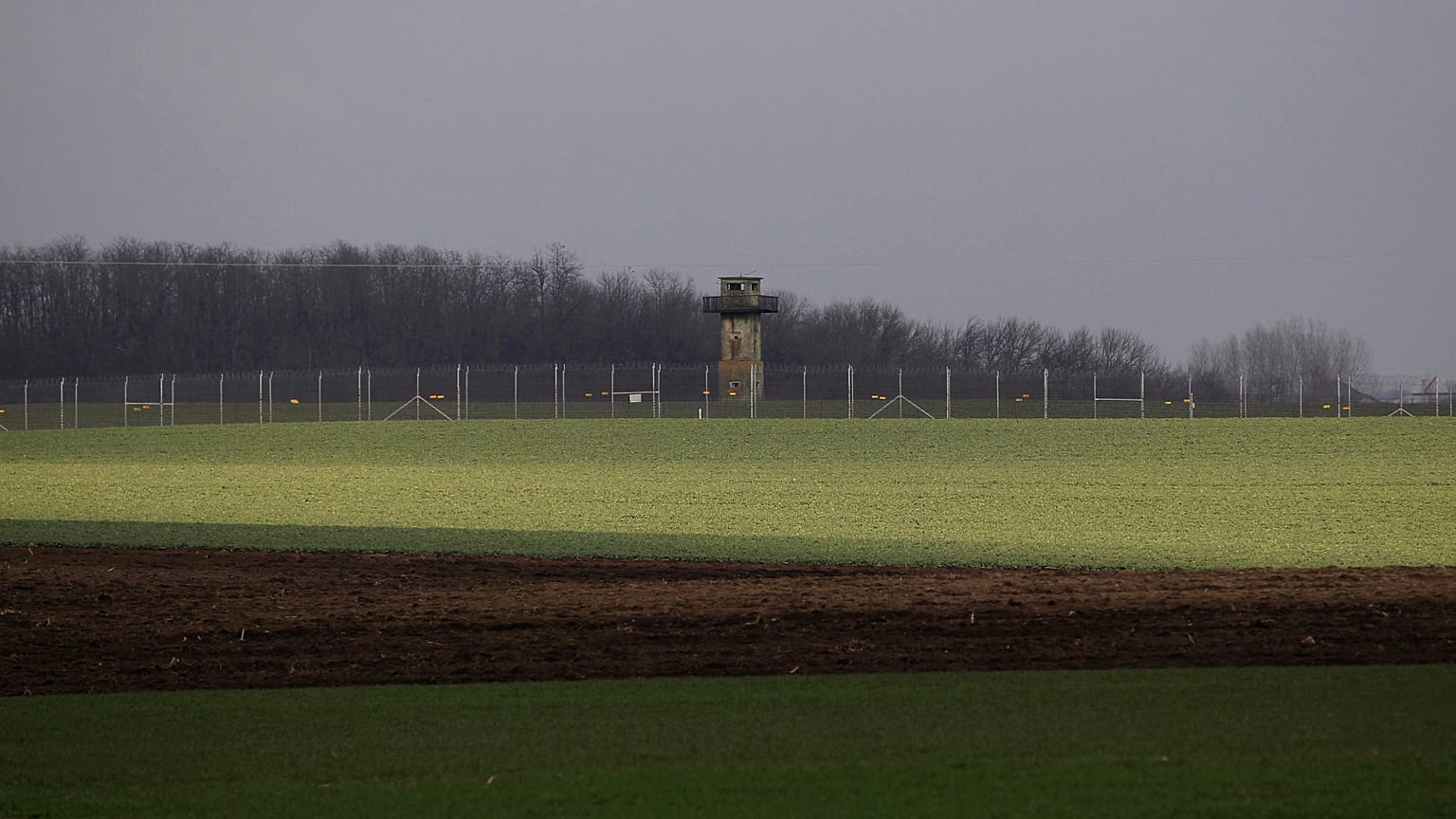 The ruling Fidesz Party strongly opposes migration.