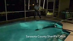 Florida'da dev timsahın havuz keyfi 