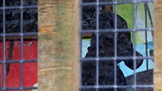 Caso Skripal: l'ex spia russa migliora, non più in condizioni critiche