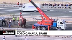 No comment, il meglio della settimana