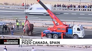 No comment, il meglio della settimana