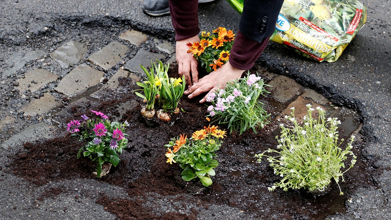 ناشط يتسلح بالورود لإصلاح طرقات بروكسل المحفرة.