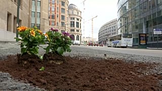 Otoyollarda bozulan asfalta çiçek ekiyor