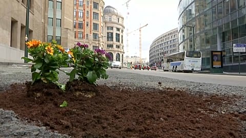 Otoyollarda bozulan asfalta çiçek ekiyor